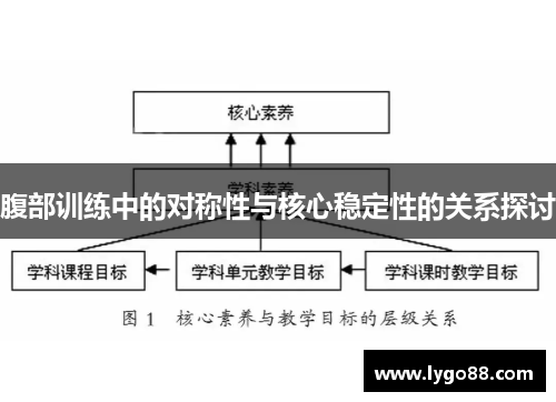 腹部训练中的对称性与核心稳定性的关系探讨